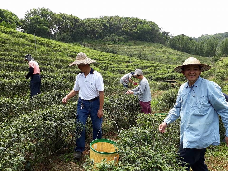 箴品茶研3