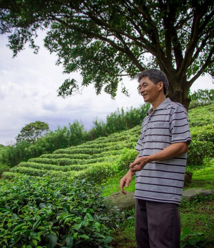 箴品茶研8