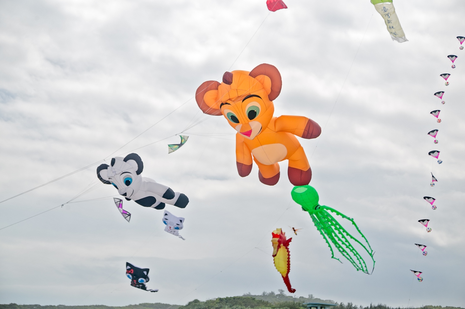 2019新北市北海岸國際風箏節3