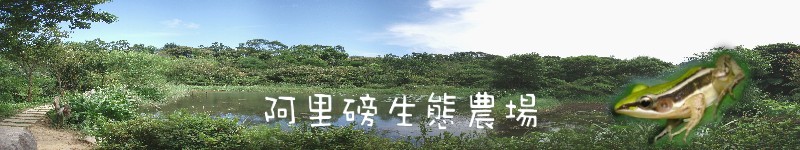 Alibang Ecological Farm banner
