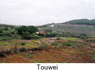 Touwei