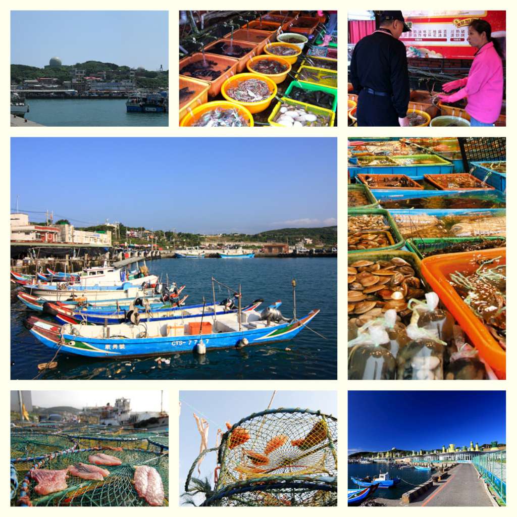 Fuji Fishing Harbor and seafood