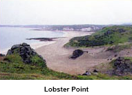 Lobster Point