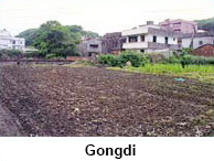 Gongdi