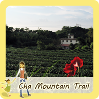 Cha Mountain Trail