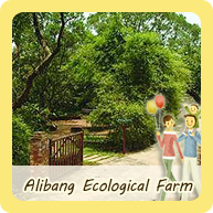 Alibang Ecological Farm