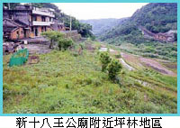 新十八王公廟附近坪林地區